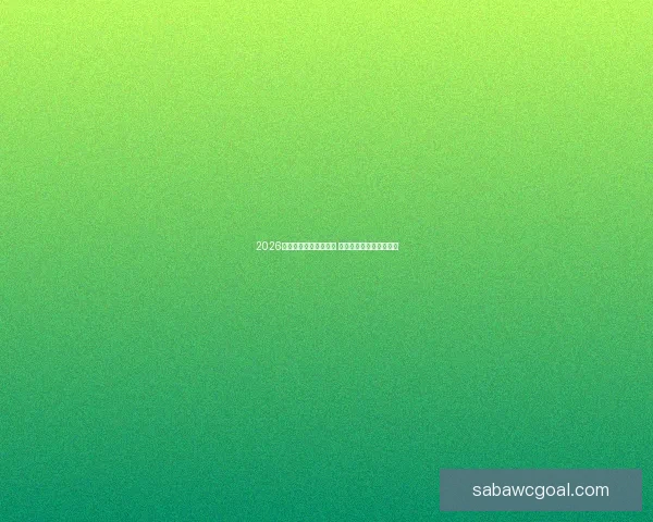 2026年世界杯精彩集锦盘点 高光时刻与震撼瞬间回顾